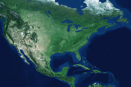 北美洲哺乳动物图片-北美洲哺乳动物素材-北美洲哺乳动物插画-摄图新