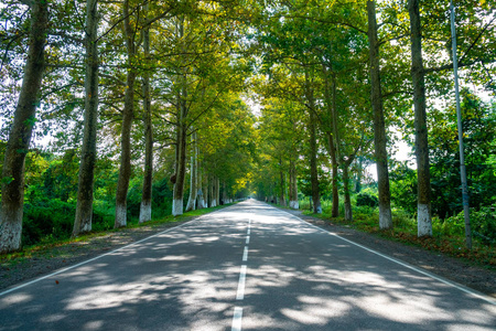 格鲁吉亚军用公路图片