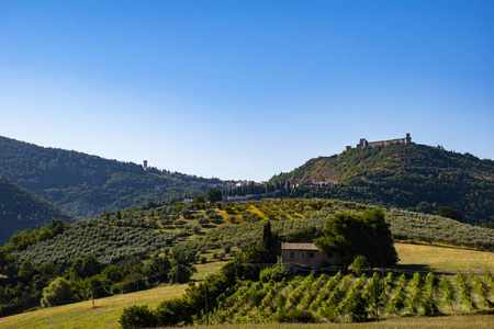国家西山农场图片
