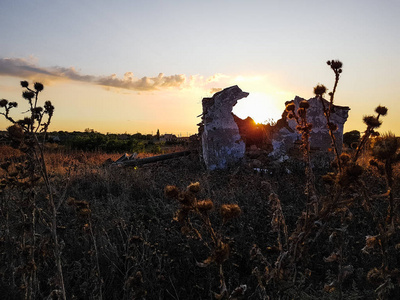 初秋时节,夕阳的余晖穿过蓟丛中一座古老农舍的废墟照片