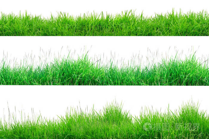 白色上隔离的绿色草边背景集合o