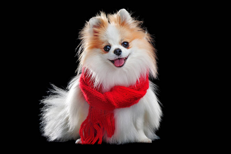 红色红领巾图片