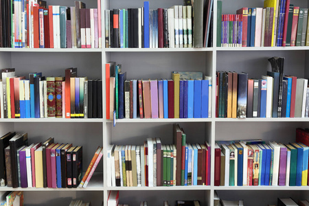 您设计的平面向量藏书在书架上的书的形式.