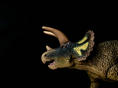 绿色三角龙玩具图片-绿色三角龙玩具素材-绿色三角龙玩具插画-摄图新