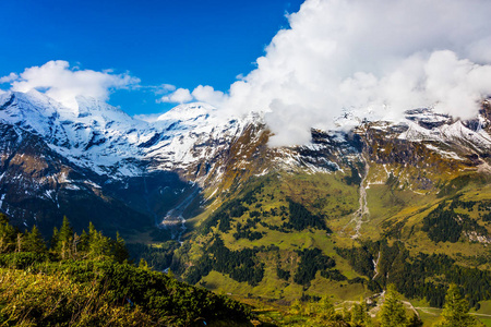 花瓣具有渐变效果,万寿菊在花坛中的大晴天夏日概念大晴天,戴着眼镜的