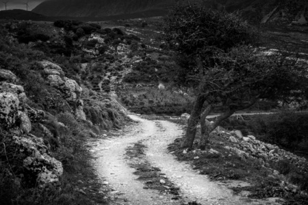 森林中蜿蜒狭窄的道路图片