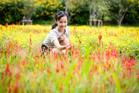 花园里的节日图片