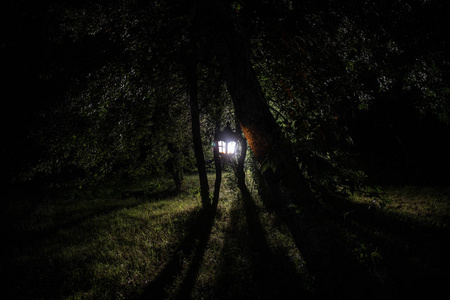 恐怖万圣节概念.晚上在森林里点燃旧油灯.梦魇场景的夜景.照片