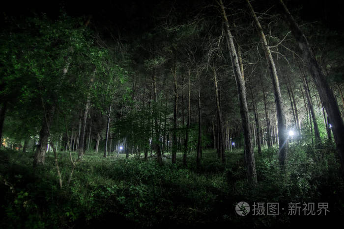 晃晃斑_晃晃斑性格配招_晃晃斑怎么进化