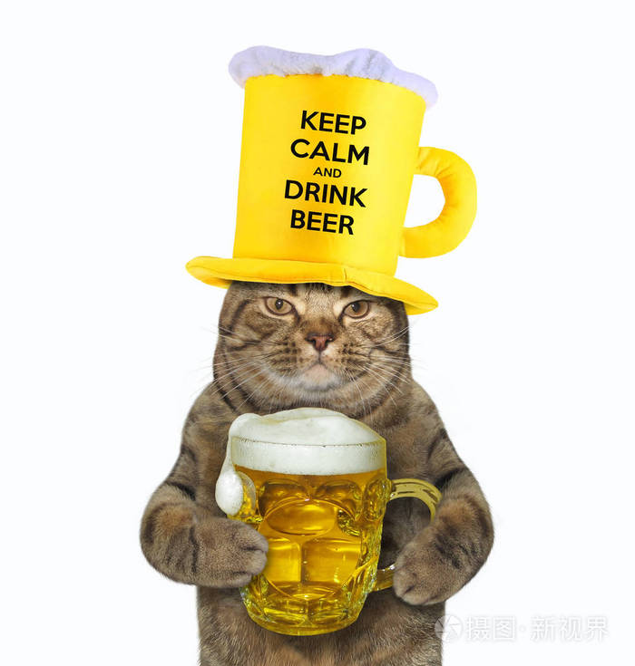 戴黄帽子的猫喝啤酒