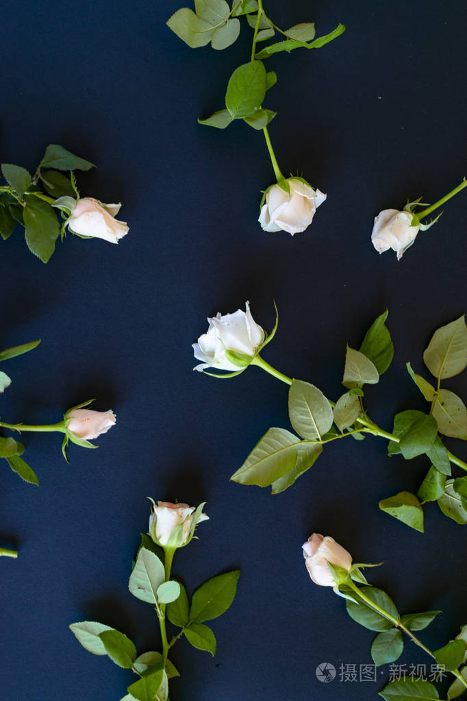 白玫瑰散落在深色背景的桌子上
