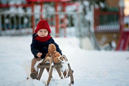 幼儿冬天的梅花图片