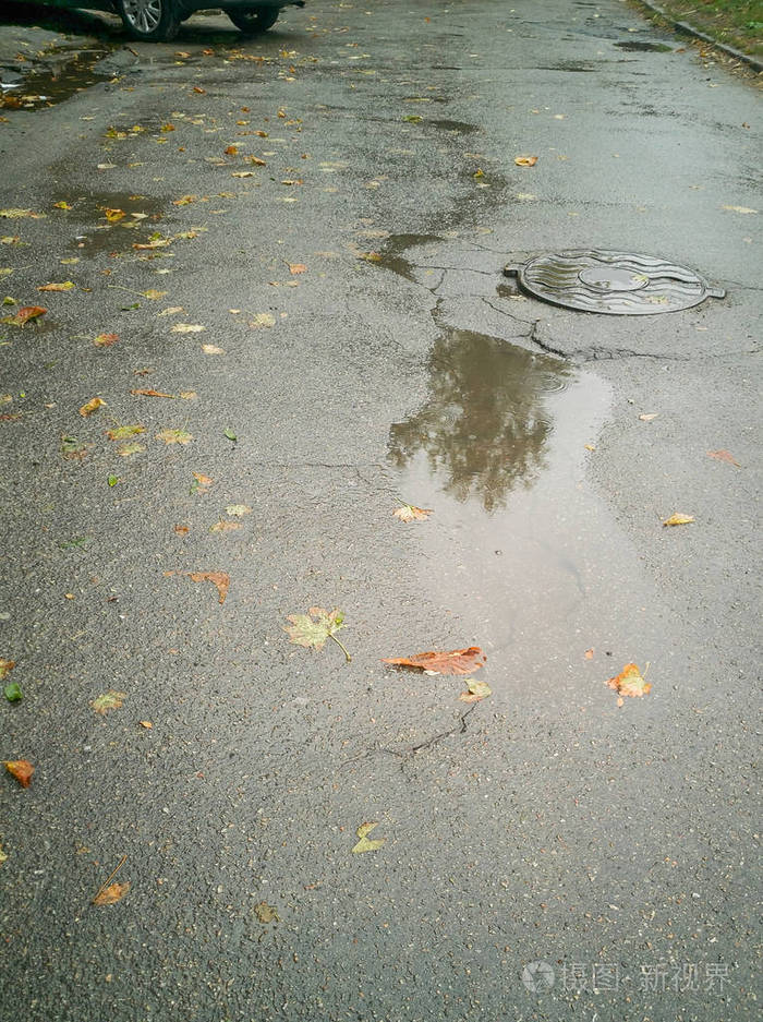 雨伞 自然 人行道 水坑 反射 墙纸 涟漪 阴影 雨滴 天气