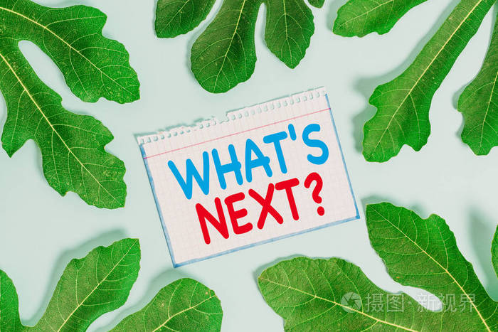 显示下一步行动的文字标志概念图片询问在当前图片之后立即出现的内容