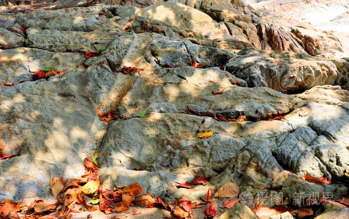 岩石 海滨 纹理 波浪 石头