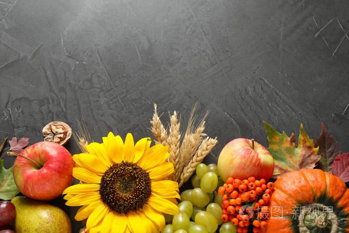 秋天的水果和蔬菜在灰色的背景上，平铺着文本的空间。感恩节快乐