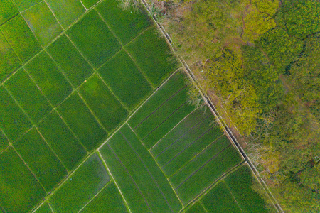 鸟瞰农田图片