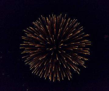 怎样烟花绽放在黑色背景下,夜空中绽放出一束绚丽的烟花照片