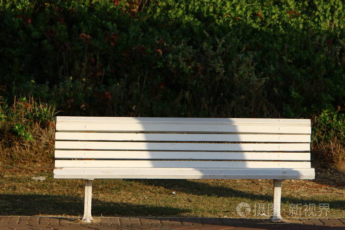 花园 海岸 自然 椅子 公园 以色列 步行 旅行 长凳