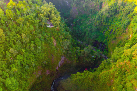 国家公园热带森林树木鸟瞰图图片