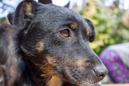 漂亮的外表图片