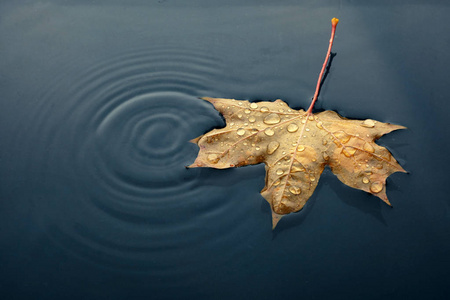 碧波荡漾的水面上秋天的玛莉叶俯视图
