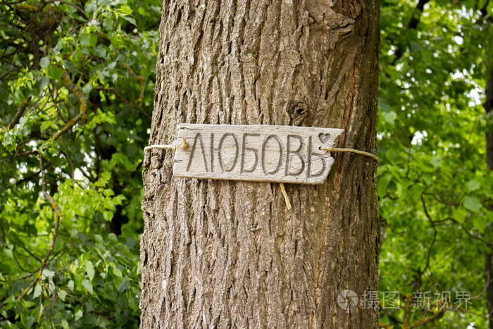 在一个城市公园里，树干上的木板上写着爱这个俄语单词
