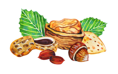 核桃水彩一群不同的坚果.榛子,核桃,花生,杏仁.手绘水彩插图照片