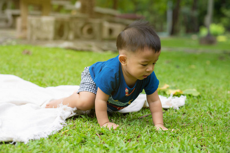 小男孩在野餐垫上爬着绿草图片
