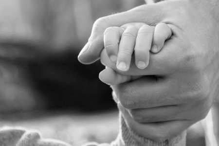 特写,黑白,选择性聚焦摄影图