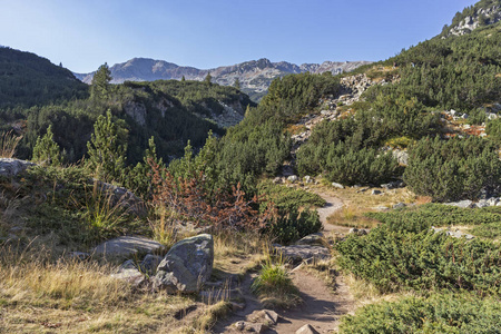 比林山班德瑞萨河谷景观图片