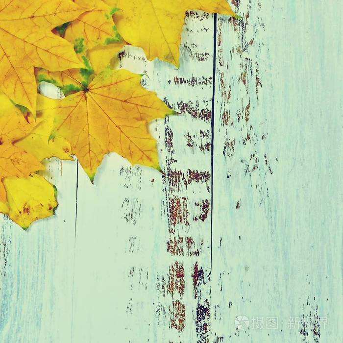 秋天的背景，木板上的彩叶。平面布置，俯视图，复印空间。