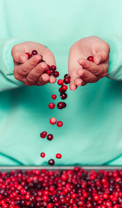 女人握着小红莓的手图片