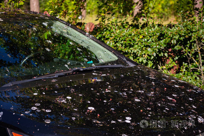 车上有很多鸟屎.车的引擎盖和前车窗上有很多鸟粪.车上全是酸鸟粪.