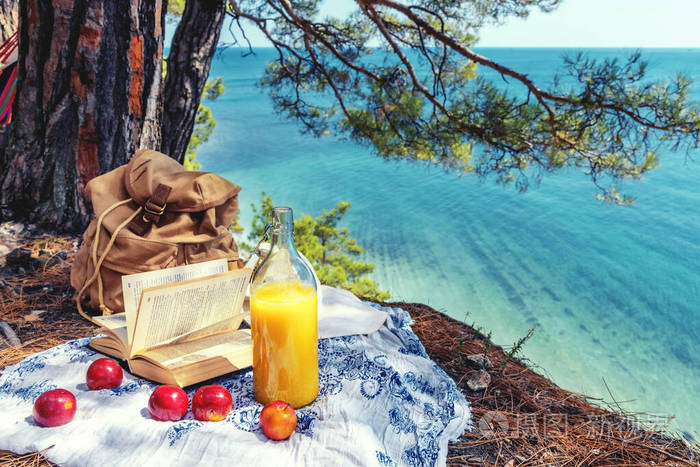 在高高的海滨野餐美丽的风景