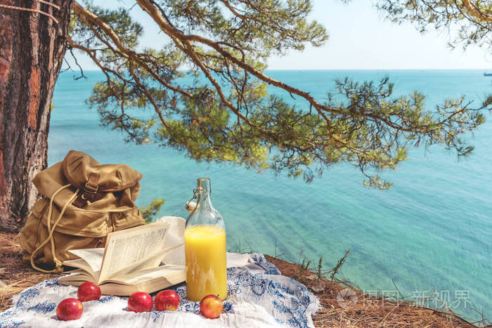 在高高的海滨野餐美丽的风景