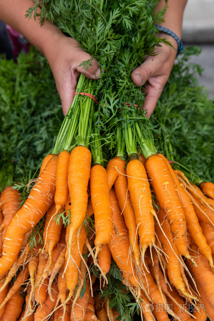 4480*6720px发票合同问题/查看作者其他作品查看更多>户外农业博览会