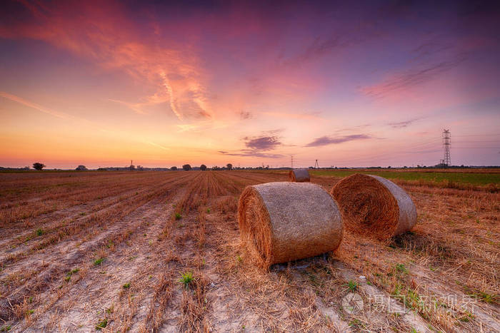 美丽的夏日落日在干草堆成的田野上
