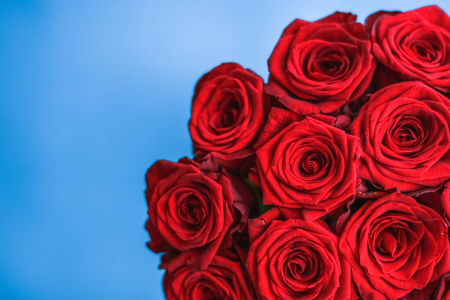 如花的气味蓝色背景上的豪华红玫瑰花束,花香如画照片