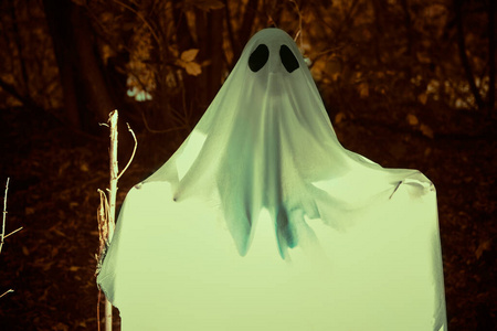 床单幽灵森林里的鬼魂照片
