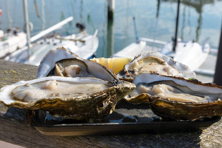 新游艇比利时奥斯坦德市一艘游艇停车场背景下的大型新鲜牡蛎.海鲜.