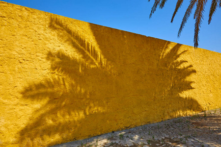 阳光明媚的阳光下明亮的黄色墙上的棕榈树的影子照片