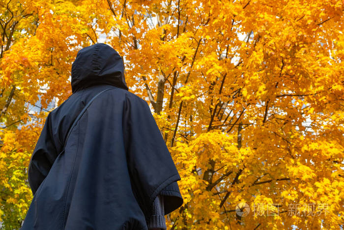 秋天公园里披着斗篷的女孩的剪影.用于墙纸设计.抽象的橙色背景.秋林.