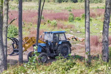 林业工人使用机械进行工业砍伐图片