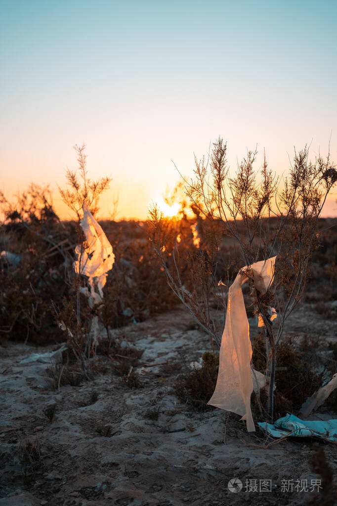 自然界植物间的垃圾堆有毒塑料无处不在公园里草木丛生的垃圾堆受污染