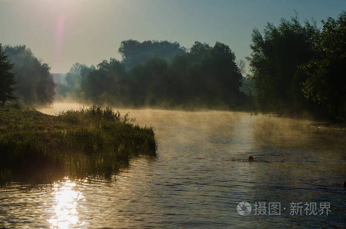 清晨的河面上清晨芦苇雾气缭绕水面在河面上