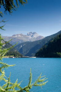 绿树环绕的混凝土坝和山湖水库图片