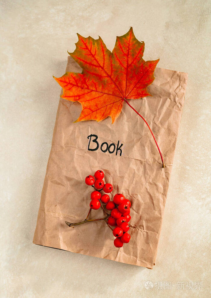 秋天平躺书和干树叶和棕色浆果在米色背景上平放俯视图