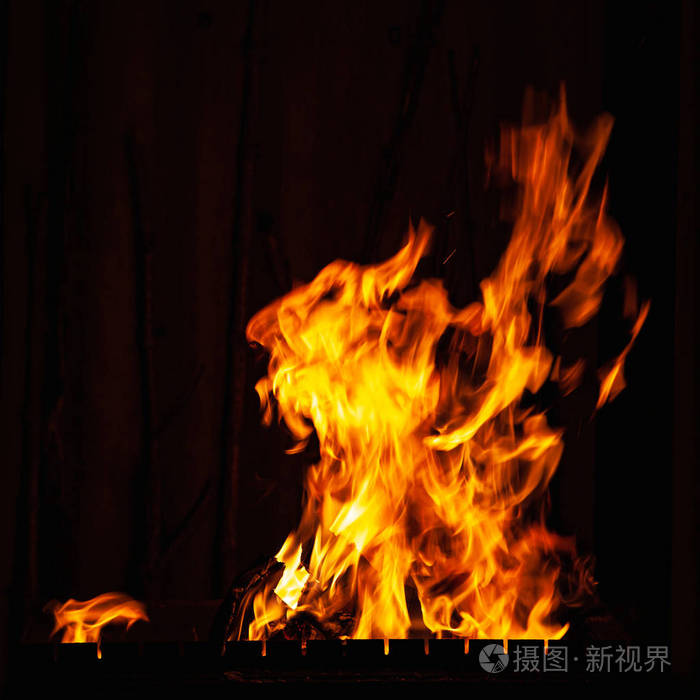 Fire flame on a dark background. Bright burning fire at night. B
