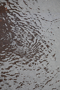 公园里的秋雨图片